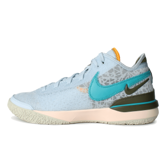 ZOOM LEBRON NXXT GEN